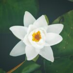 Hot Mobility & Stretch